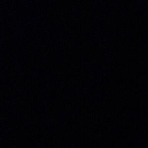 Meet your Posher, Donya